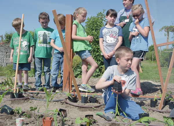 Kids learn about gardening, bugs and flowers at WSU Extension | All Access | goskagit.com