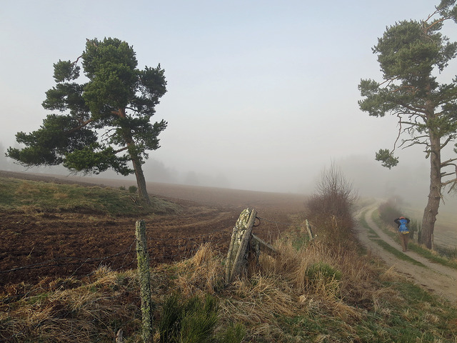 19936263186_c8a9b78d69_z