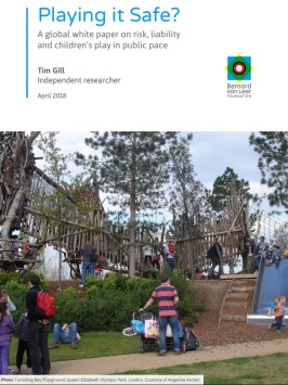 Playing it Safe? report cover