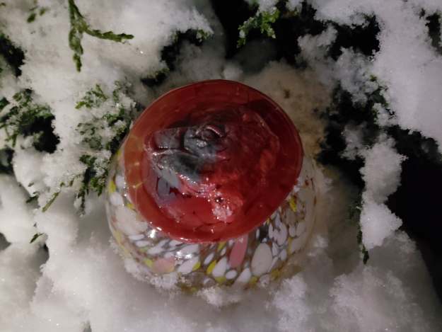 51593851_281203899242840_8012768283944026112_n-1